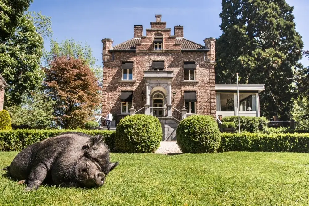 Restaurant Kasteeltje Hattem